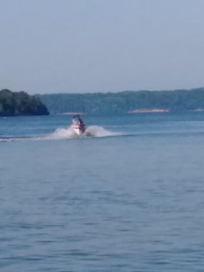 Dog Drive Fishing - Springville, TN