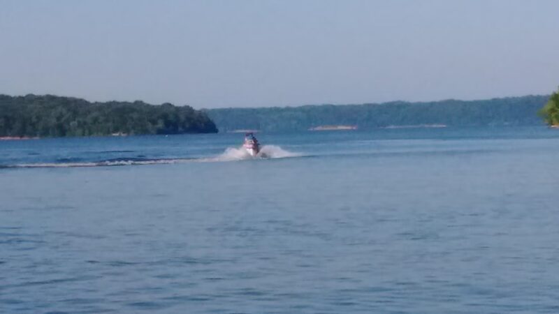 Dog Drive Fishing - Springville, TN