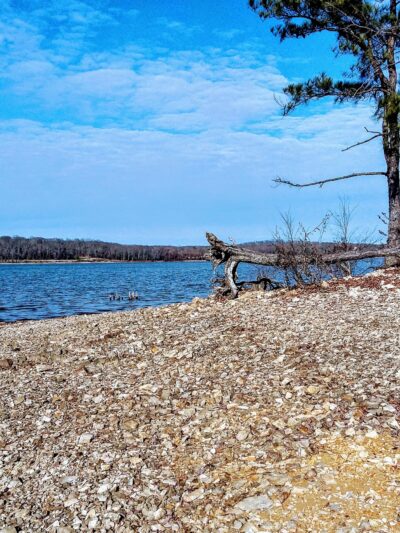 Dog Drive Fishing - Springville, TN
