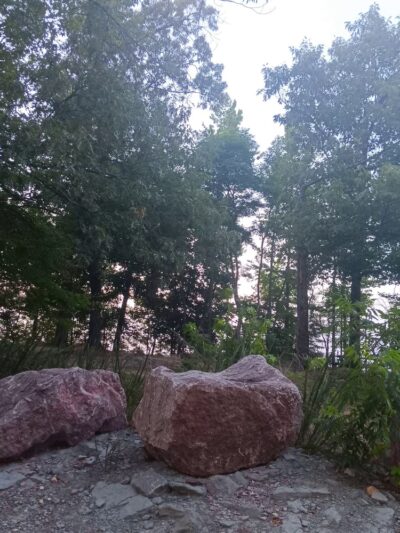 Dog Drive Fishing - Springville, TN