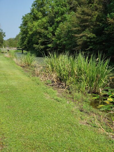 Roger J. Clouatre Memorial Park - St Amant, LA