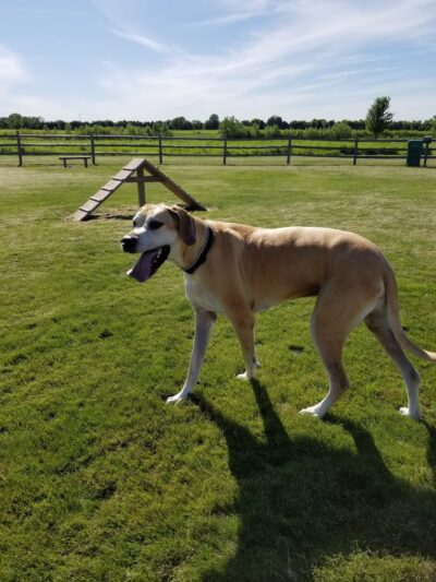 Poynor Park - St. Charles, IL