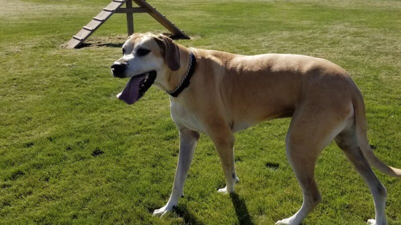 Poynor Park - St. Charles, IL