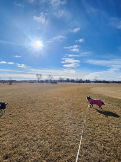 Poynor Park - St. Charles, IL