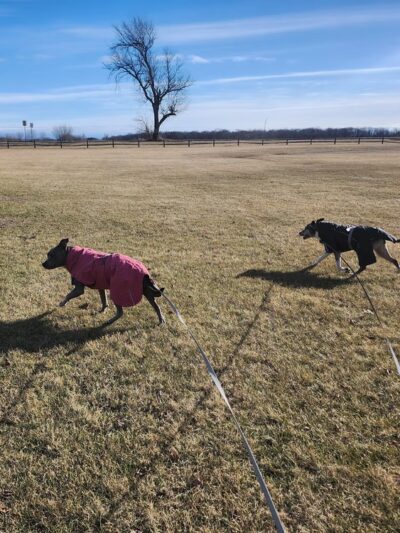 Poynor Park - St. Charles, IL