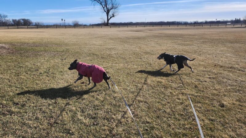 Poynor Park - St. Charles, IL