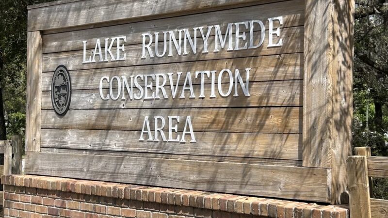 Lake Runnymede Conservation Area - St Cloud, FL