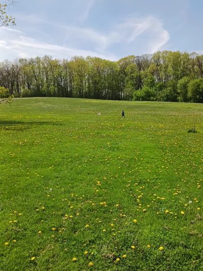 Nathanael Greene Park - St Francis, WI