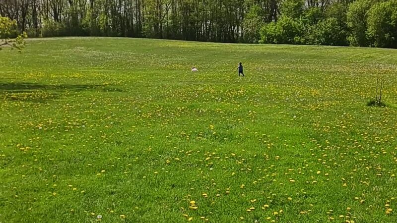 Nathanael Greene Park - St Francis, WI