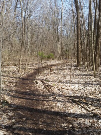 Nojoshing Trail - St Francis, WI