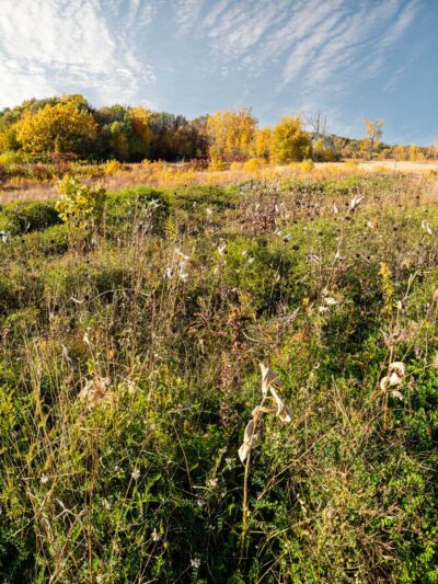 Nojoshing Trail - St Francis, WI