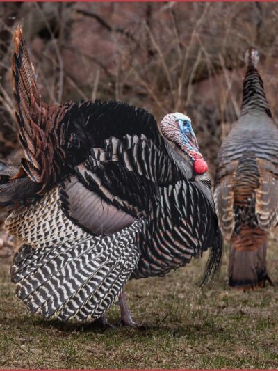 Nojoshing Trail - St Francis, WI