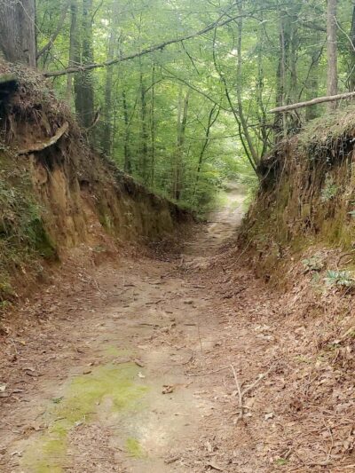 Tunica Hills WMA Trail A - St Francisville, LA