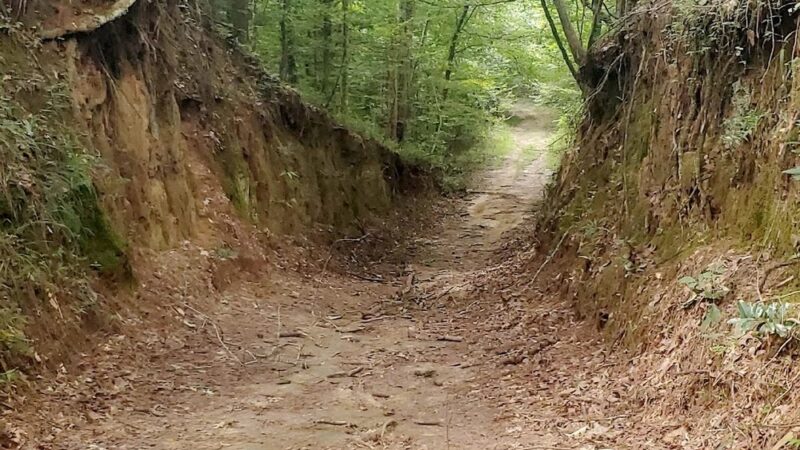 Tunica Hills WMA Trail A - St Francisville, LA