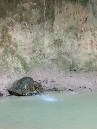 Tunica Hills WMA Trail A - St Francisville, LA