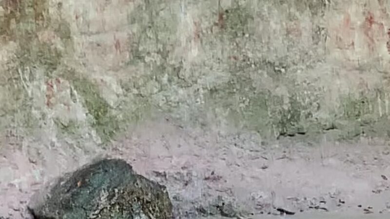 Tunica Hills WMA Trail A - St Francisville, LA