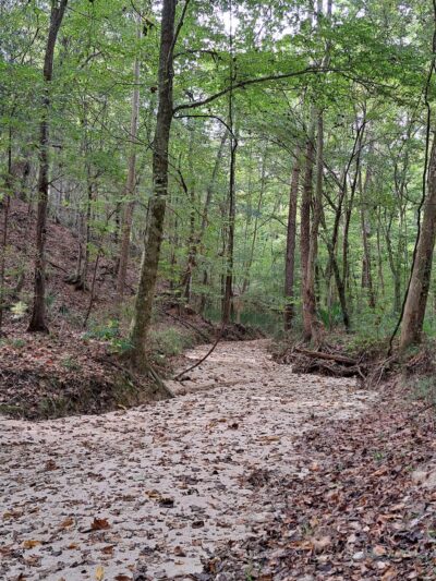 Tunica Hills WMA Trail A - St Francisville, LA