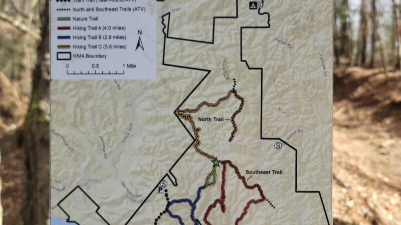Tunica Hills WMA Trail A - St Francisville, LA