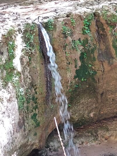 Tunica Hills WMA Trail A - St Francisville, LA