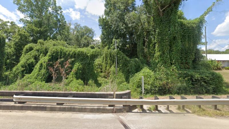 Tunica Trace RV Park - St Francisville, LA