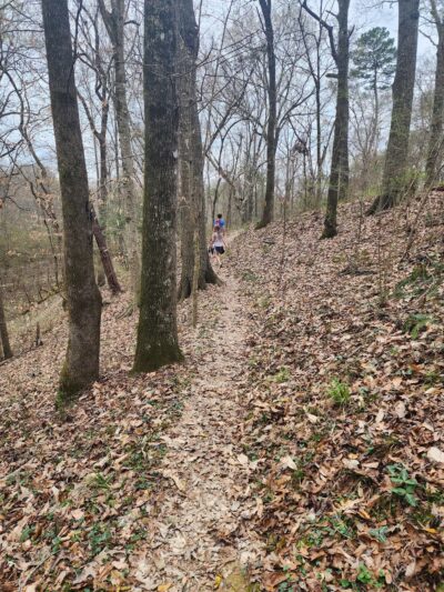 West Feliciana Parish Parks - St Francisville, LA