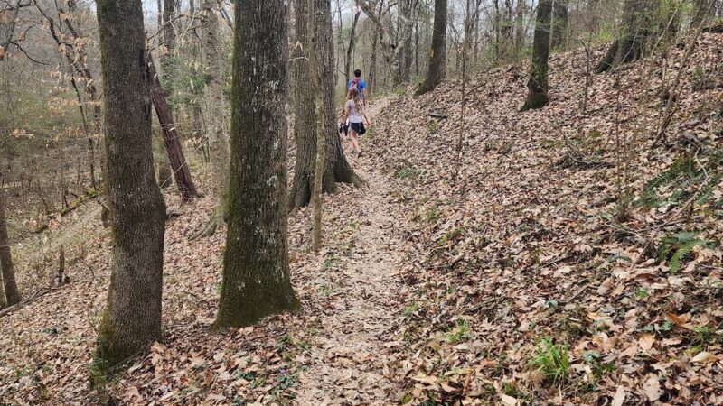 West Feliciana Parish Parks - St Francisville, LA