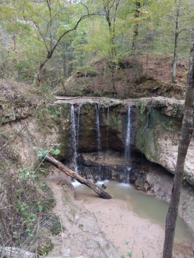 Tunica Hills WMA - ST FRANCISVLE, LA