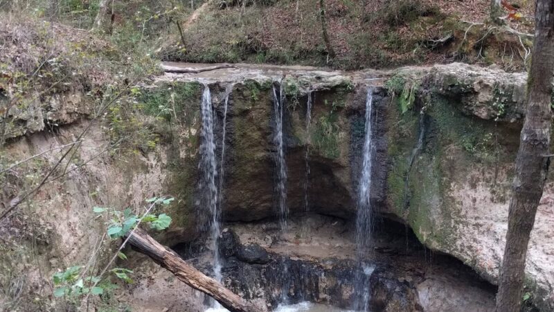 Tunica Hills WMA - ST FRANCISVLE, LA