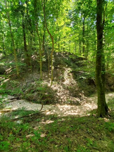 Tunica Hills WMA - ST FRANCISVLE, LA