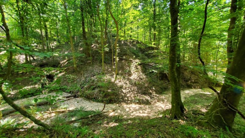 Tunica Hills WMA - ST FRANCISVLE, LA