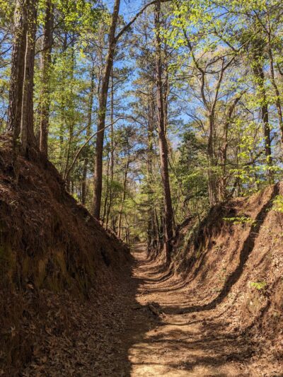 Tunica Hills WMA - ST FRANCISVLE, LA