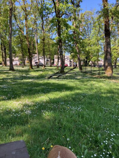 St. Helens: Dog Park - St Helens, OR