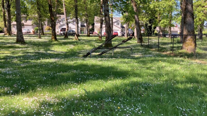 St. Helens: Dog Park - St Helens, OR