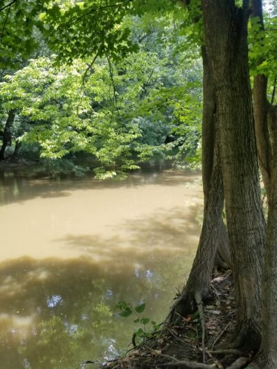 River Greenway - St Joe, IN