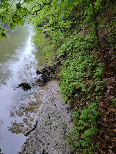 River Greenway - St Joe, IN