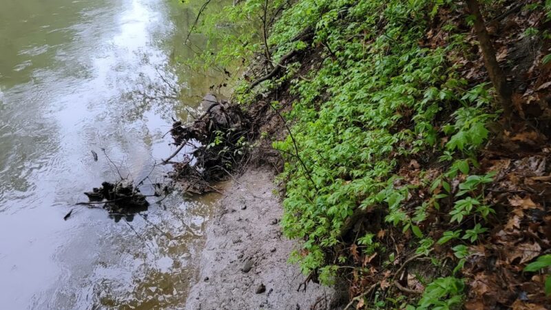 River Greenway - St Joe, IN