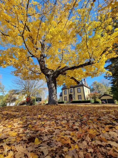 Arnold Park - St Johnsbury, VT