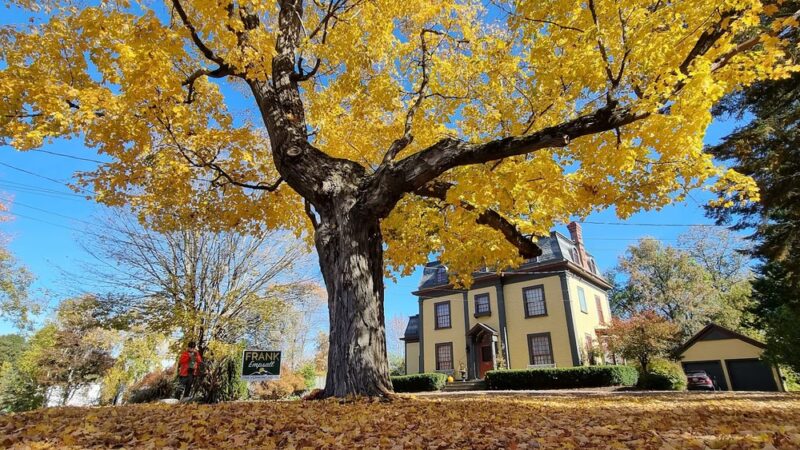 Arnold Park - St Johnsbury, VT