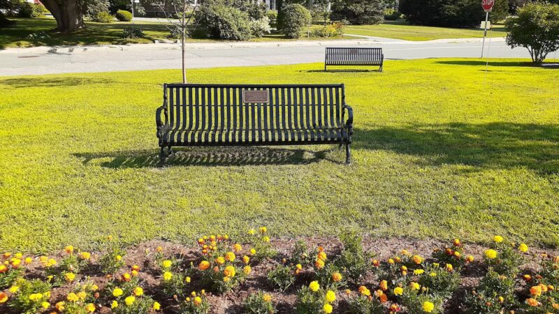 Arnold Park - St Johnsbury, VT