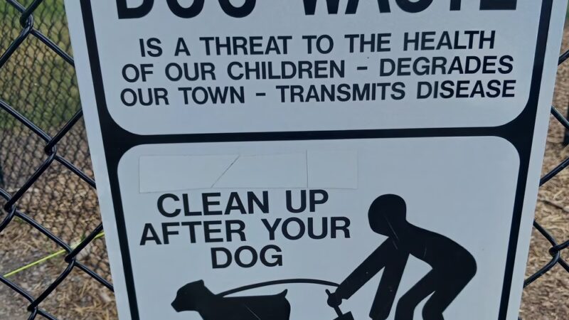 City of St. Joseph Dog Park - St Joseph, MN