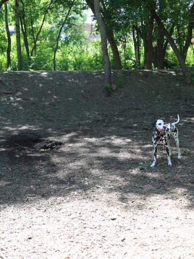 Cedar Knoll Park - St Louis Park, MN