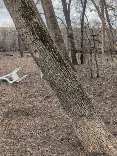 Cedar Knoll Park - St Louis Park, MN