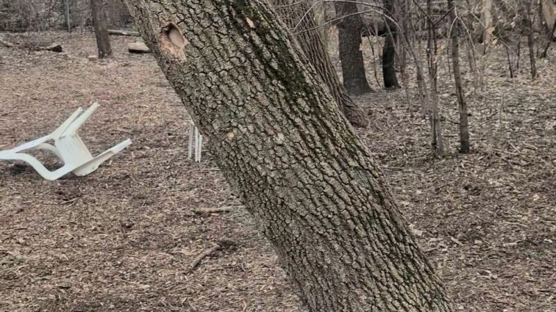 Cedar Knoll Park - St Louis Park, MN