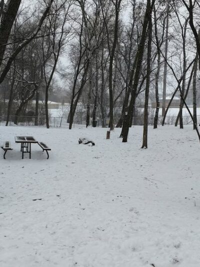 Cedar Knoll Park - St Louis Park, MN