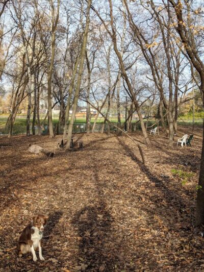 Cedar Knoll Park - St Louis Park, MN