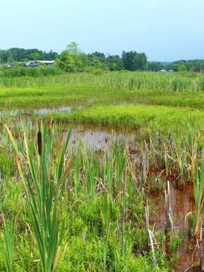 West Creek Wetland Learning Center - St Marys, PA