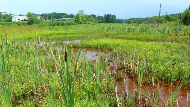 West Creek Wetland Learning Center - St Marys, PA