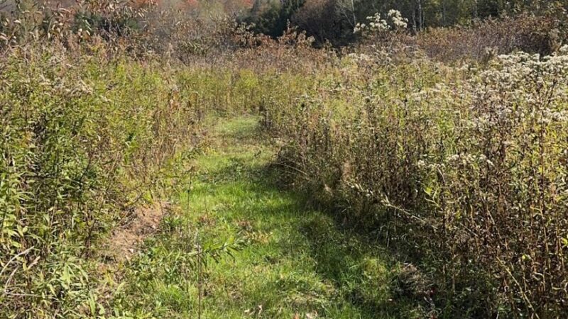 West Creek Wetland Learning Center - St Marys, PA