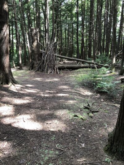 Benzinger Park - St Marys, PA