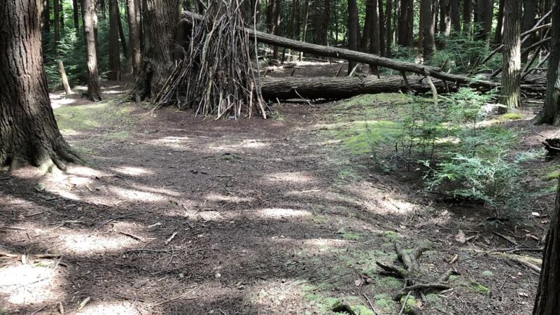 Benzinger Park - St Marys, PA